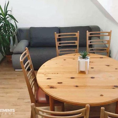 Huge Bbq Garden 2, Spacious Flat, Ac, Free Parking 2 Lubiana Esterno foto