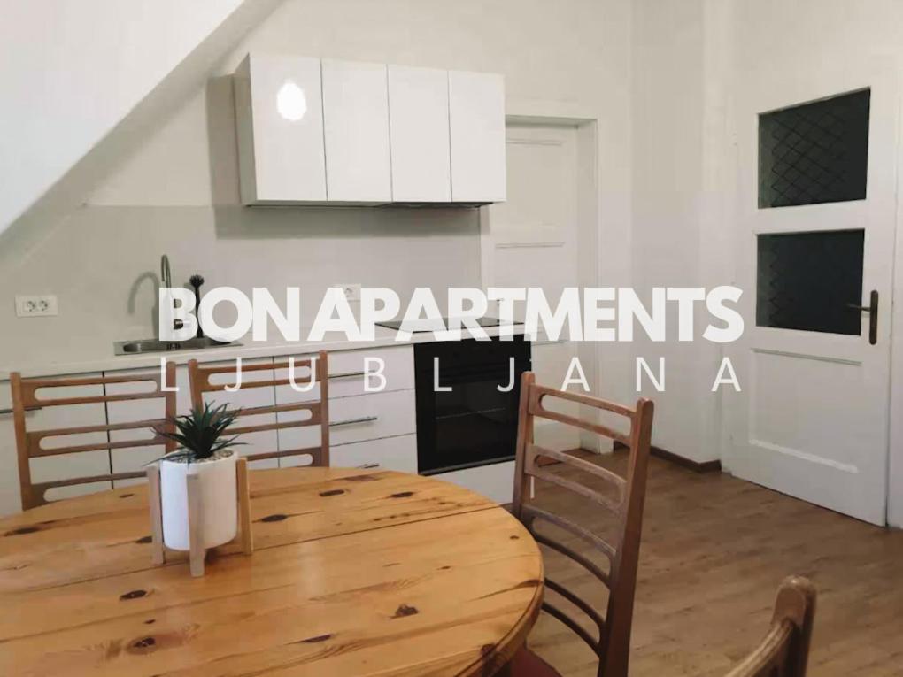 Huge Bbq Garden 2, Spacious Flat, Ac, Free Parking 2 Lubiana Esterno foto