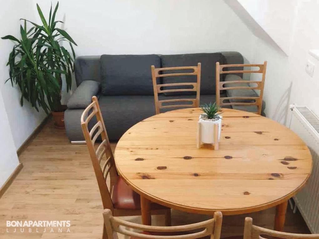 Huge Bbq Garden 2, Spacious Flat, Ac, Free Parking 2 Lubiana Esterno foto